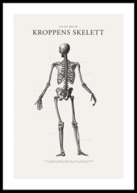 Detaljerad svartvit illustration av människoskelett bakifrån-0