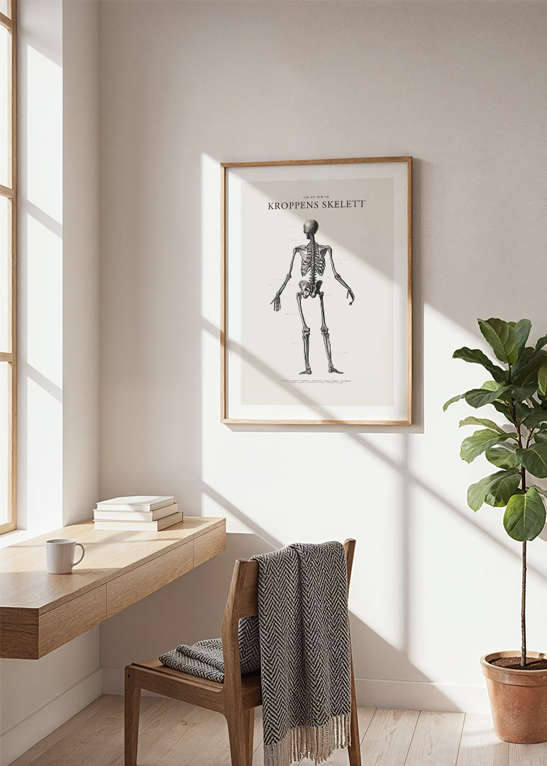 Detaljerad svartvit illustration av människoskelett bakifrån-12