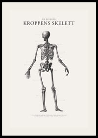 Detaljerad svartvit illustration av människoskelett bakifrån-2