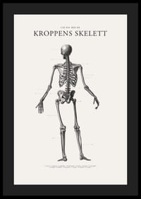 Detaljerad svartvit illustration av människoskelett bakifrån-4