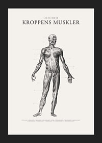 Detaljerad anatomisk illustration av kroppens framsida i svartvitt-5