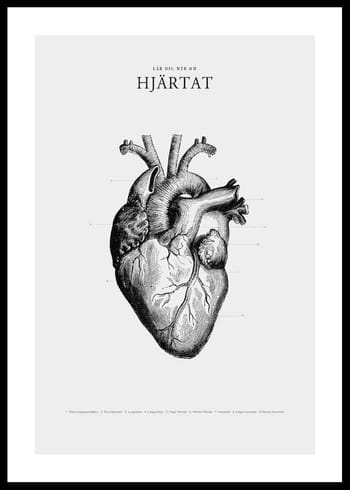 Poster Hjärtat