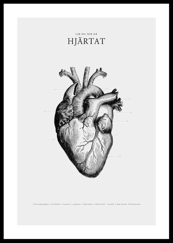 Hjärtat-12