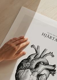 Hjärtat-5