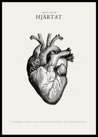 Detaljerad illustration av mänskligt hjärta i svartvitt-2