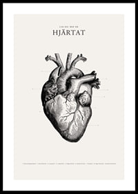 Detaljerad illustration av mänskligt hjärta i svartvitt-0