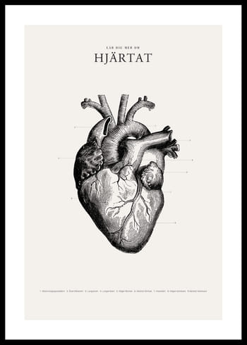 Poster Hjärtat