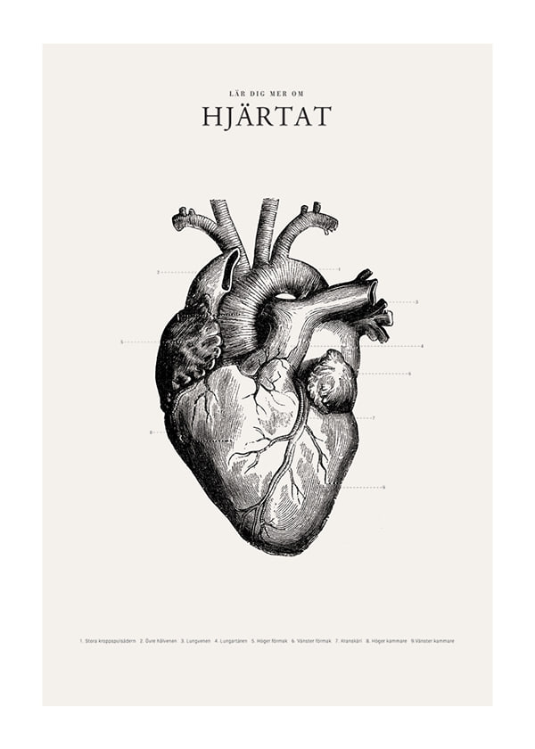 Poster Hjärtat