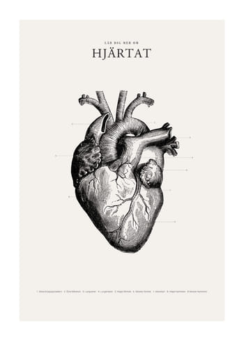 Poster Hjärtat
