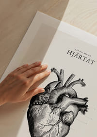 Detaljerad illustration av mänskligt hjärta i svartvitt-5