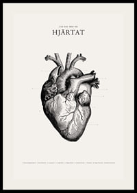 Detaljerad illustration av mänskligt hjärta i svartvitt-2