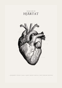 Detaljerad illustration av mänskligt hjärta i svartvitt-3