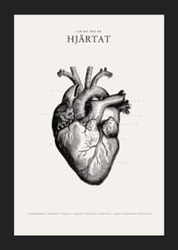 Detaljerad illustration av mänskligt hjärta i svartvitt-5