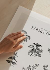 Färska Örter-5