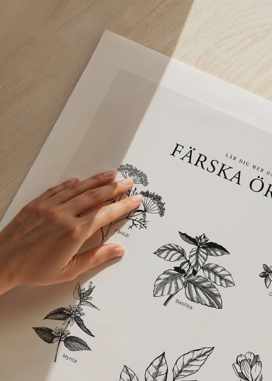 Färska Örter-12