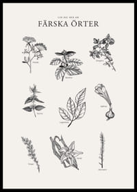 Svartvit illustration av nio färska örter med namn-2