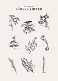 Svartvit illustration av nio färska örter med namn-3