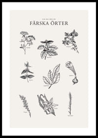 Svartvit illustration av nio färska örter med namn-0