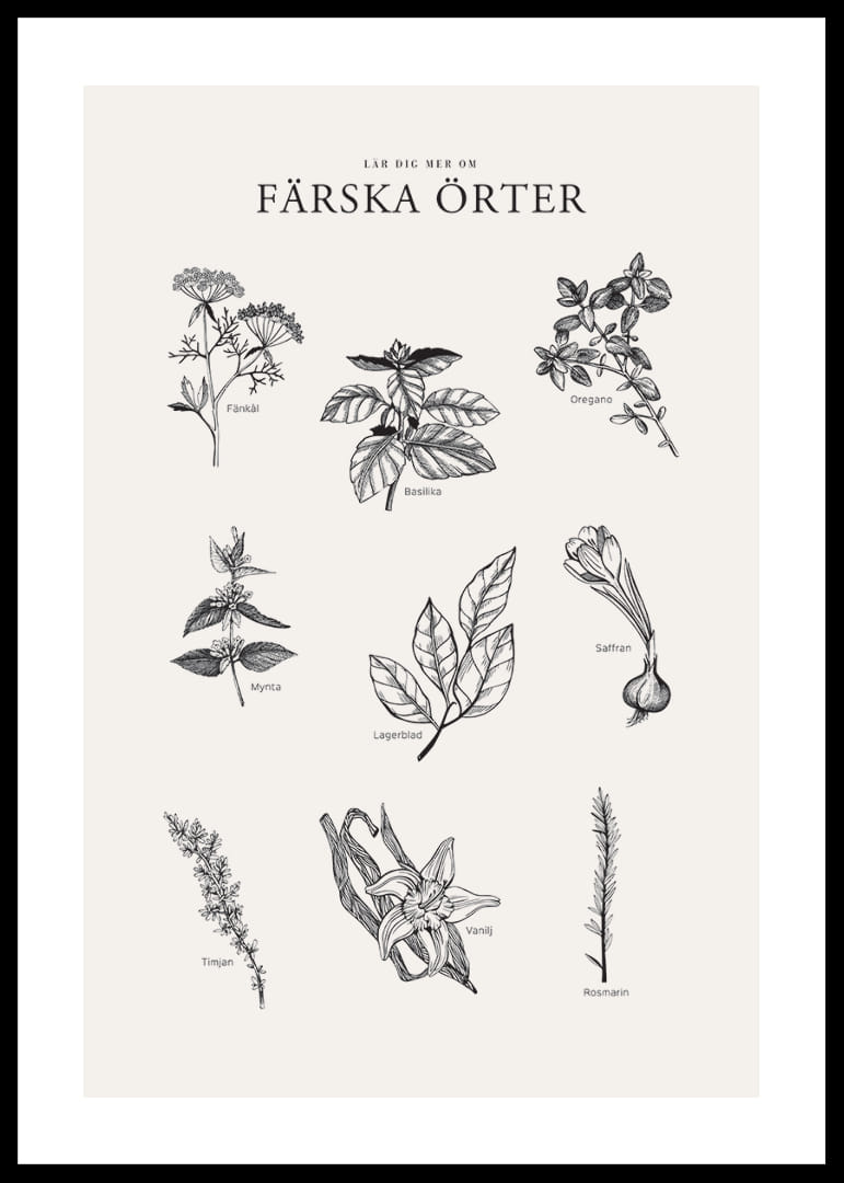 Svartvit illustration av nio färska örter med namn-12