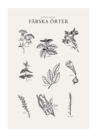 Svartvit illustration av nio färska örter med namn-1