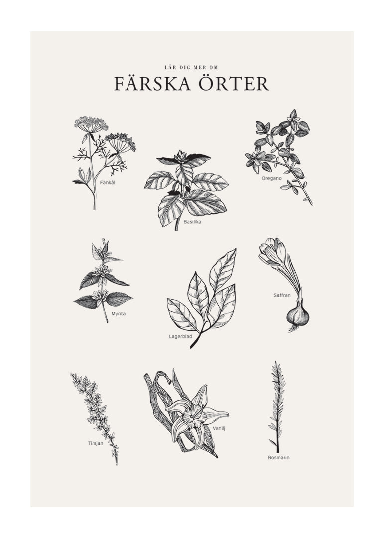 Svartvit illustration av nio färska örter med namn-12