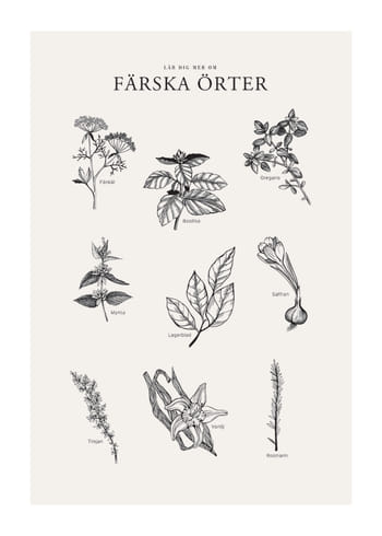 Poster Färska Örter