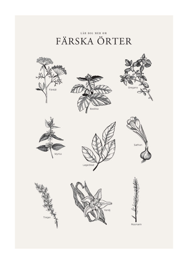 Poster Färska Örter