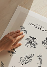 Svartvit illustration av nio färska örter med namn-9