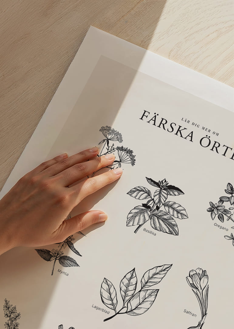 Svartvit illustration av nio färska örter med namn-12