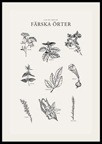 Svartvit illustration av nio färska örter med namn-2