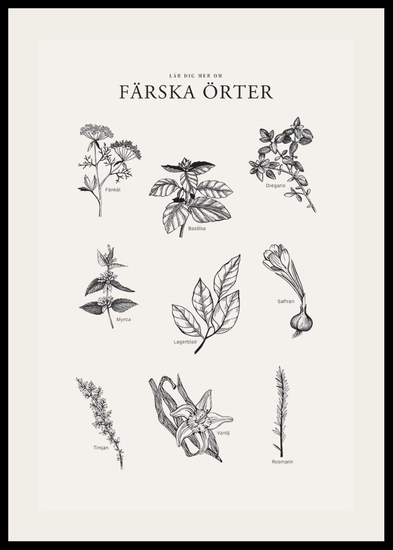 Svartvit illustration av nio färska örter med namn-12
