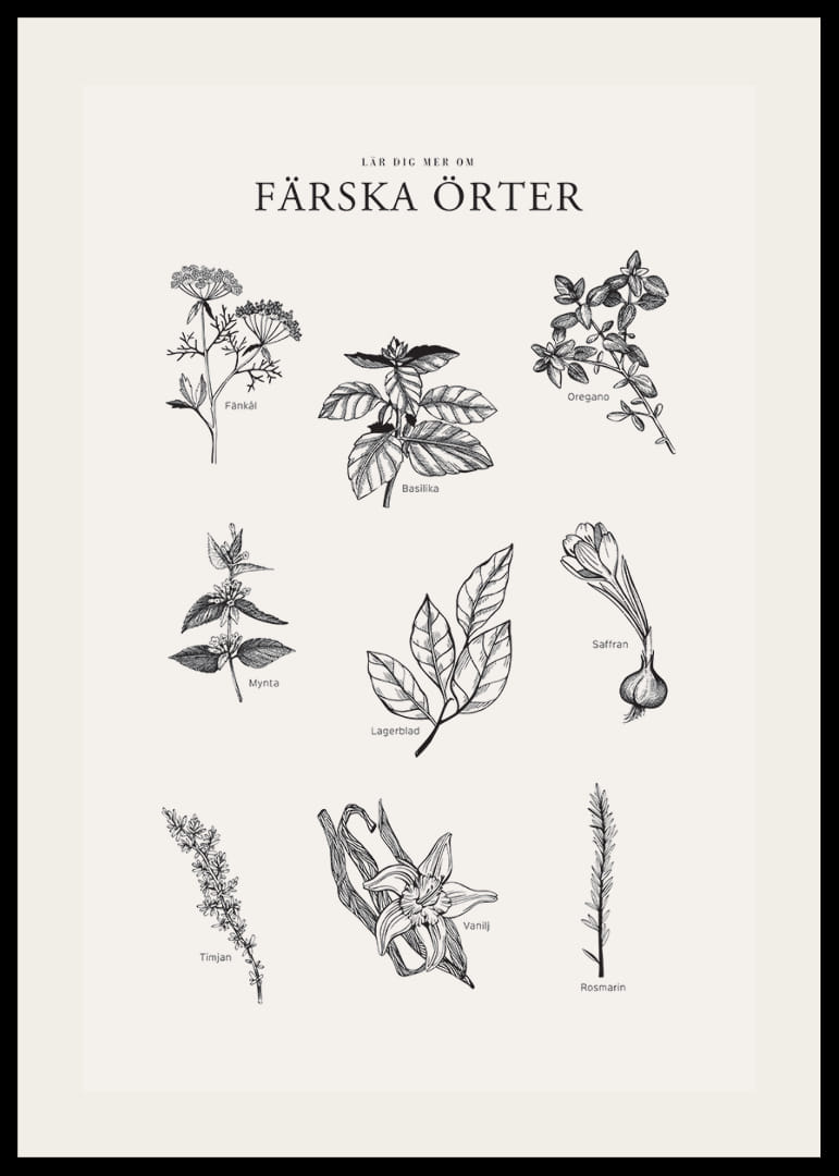 Svartvit illustration av nio färska örter med namn-12