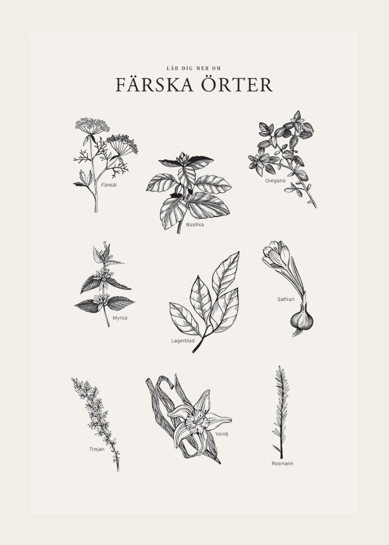 Svartvit illustration av nio färska örter med namn-12