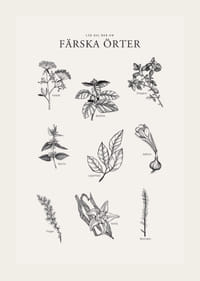 Svartvit illustration av nio färska örter med namn-3