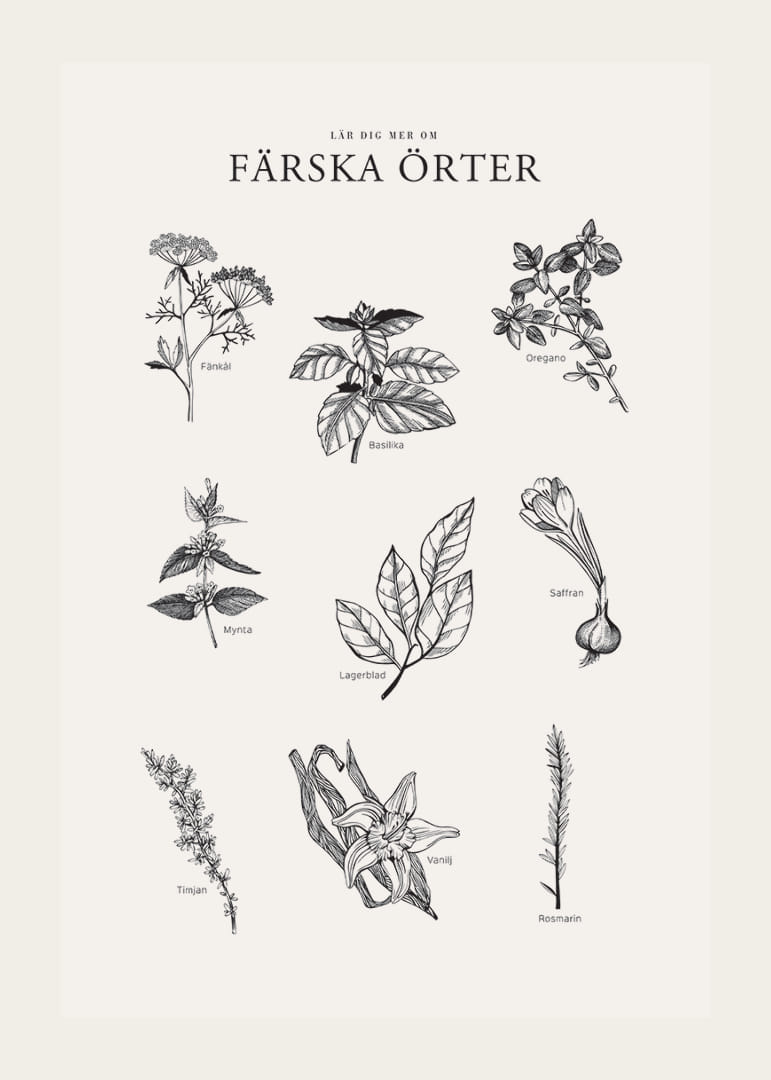 Svartvit illustration av nio färska örter med namn-12