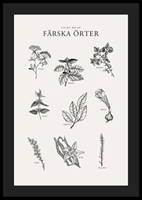 Svartvit illustration av nio färska örter med namn-4