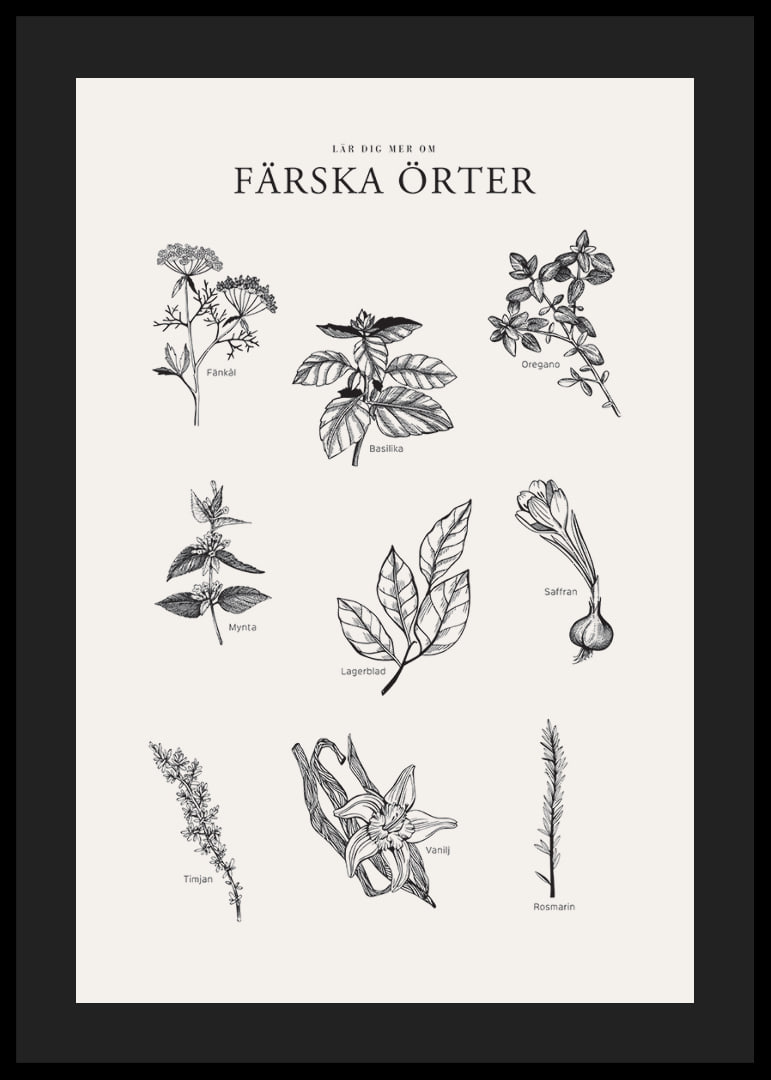 Svartvit illustration av nio färska örter med namn-12