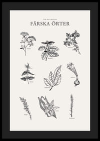 Svartvit illustration av nio färska örter med namn-4