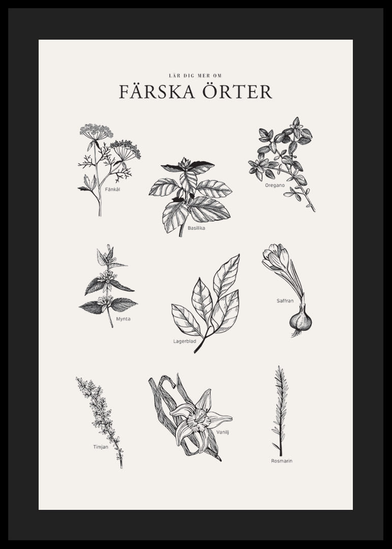 Svartvit illustration av nio färska örter med namn-12