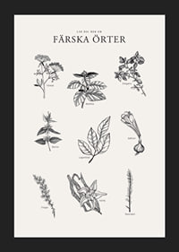 Svartvit illustration av nio färska örter med namn-5