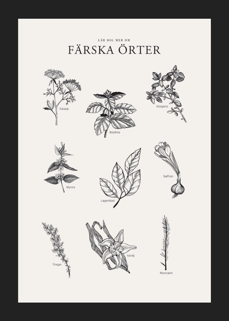 Svartvit illustration av nio färska örter med namn-12