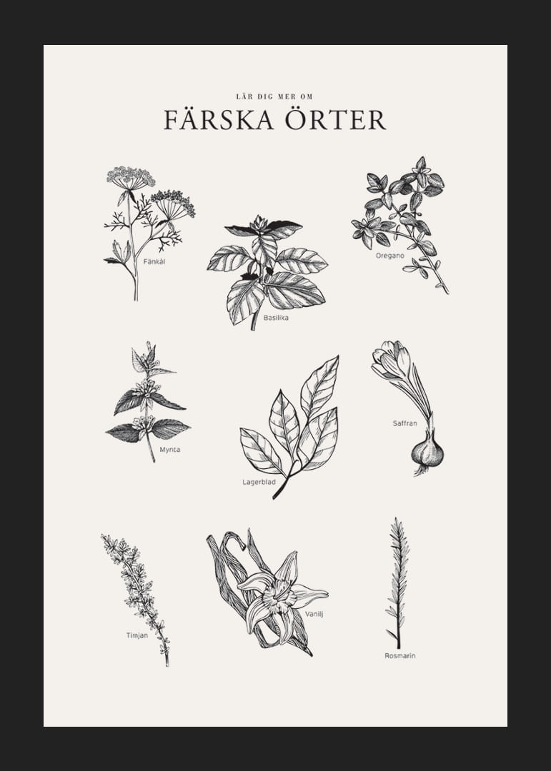 Svartvit illustration av nio färska örter med namn-12