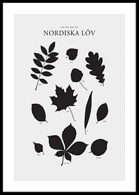 Nordiska Löv-0