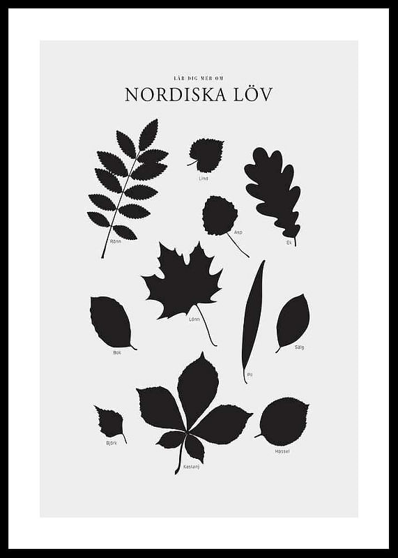 Nordiska Löv-12