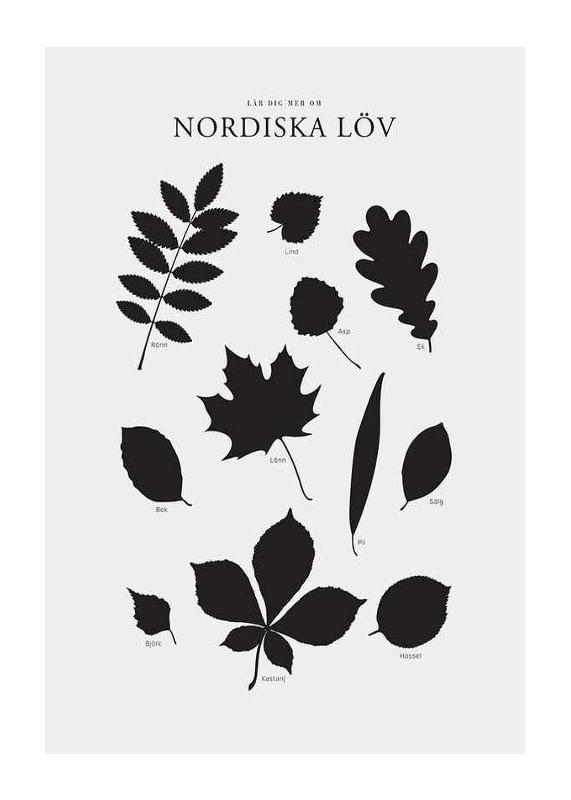 Poster Nordiska Löv