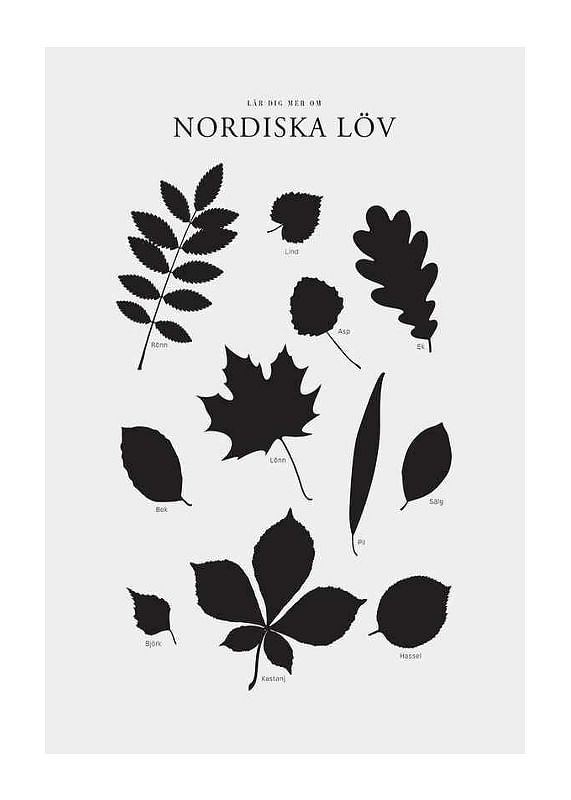 Nordiska Löv-12