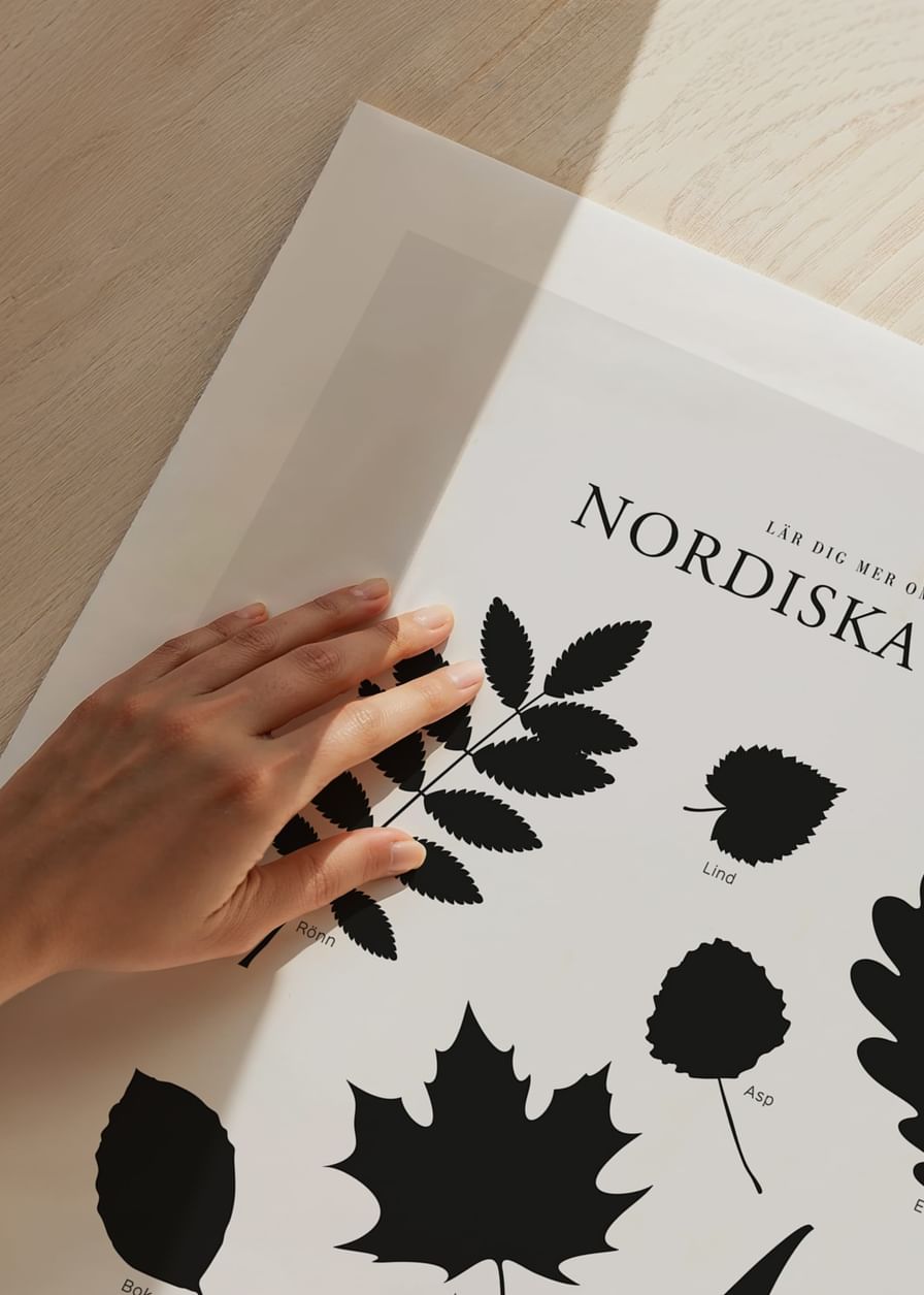 Nordiska Löv-12