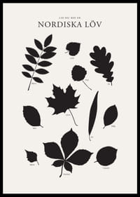 Svartvita silhuetter av nordiska löv med namntext-2