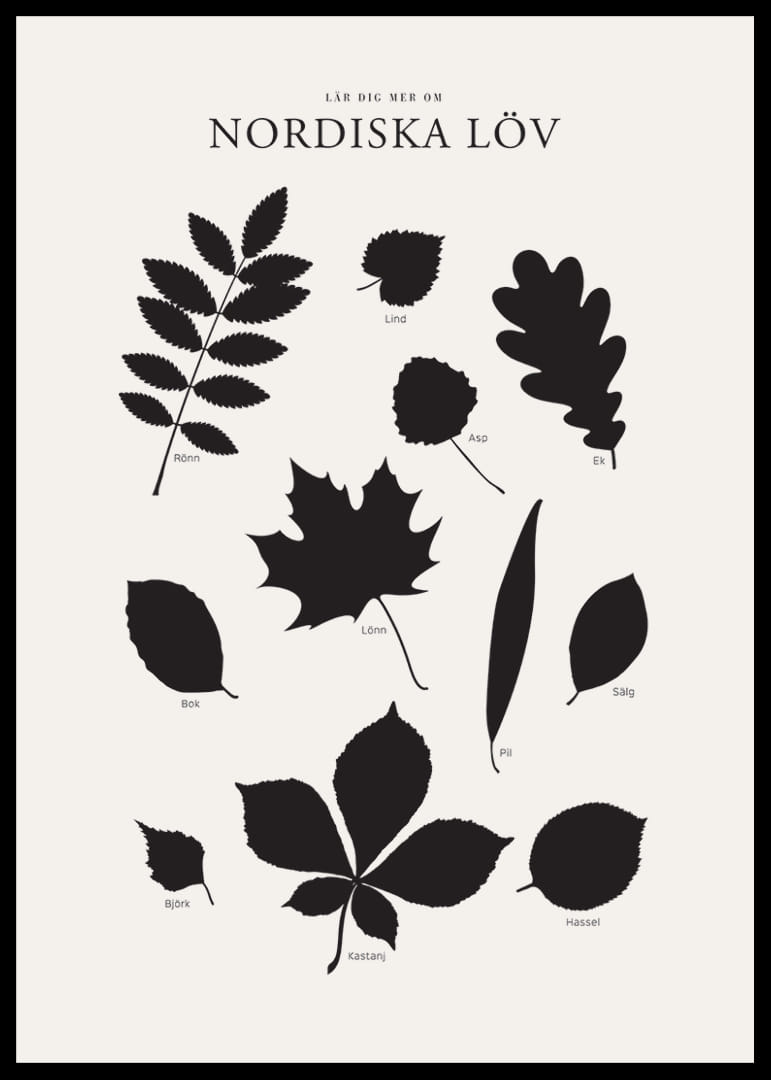 Svartvita silhuetter av nordiska löv med namntext-12