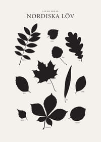 Svartvita silhuetter av nordiska löv med namntext-3